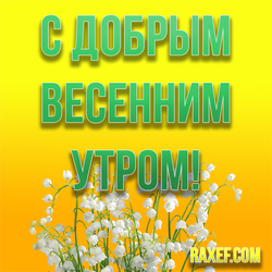 Good spring morning! Postcard, picture with lilies of the valley! Lilies of the valley! Spring flowers for you!