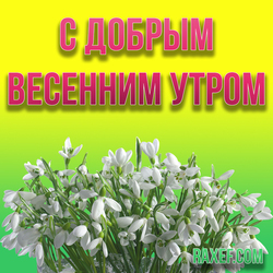 Good spring morning! Snowdrops! Postcard with snowdrops! Good morning spring picture! you can download ...