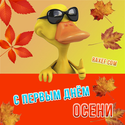 With the first day of autumn! Cool picture with a duck! Duck, duck, mallard! Fall has come! I wish you all, dear friends, ...