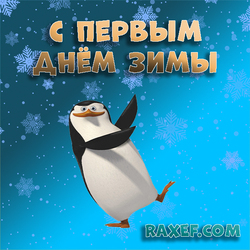 On one day of winter! Kowalski! Penguins from Madagascar send you greetings through Kowalski))) Such a character in the background ...