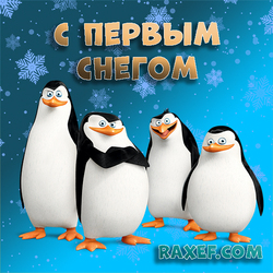 With first snow! Postcard, picture with penguins! Penguins from Madagascar with snowflakes in the background! It's snowing - it's so cool! ...