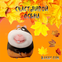 Happy Autumn! Postcard with SSBBW from the cartoon about the secret life of pets! Zhirobasina is my favorite ...