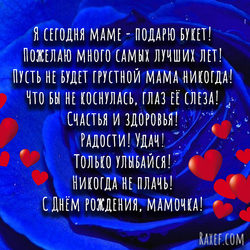 Birthday poem for mom! Postcard with verse! Blue roses! Blue roses! Background!