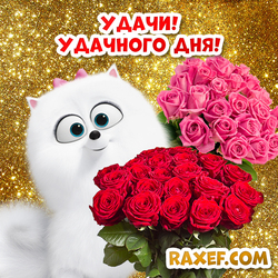 Good luck! Have a good day! Postcard! Picture on a gold background! Roses! Bouquets of roses! Gidget!