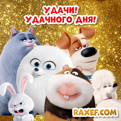Good luck! Have a good day! Postcard! The Secret Life of Pets! Picture!