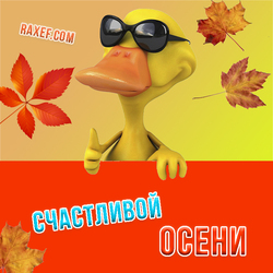 Merry card with a duck! You have! Happy Autumn! Cool duck wishes you a cool autumn! Dear friends, I wish ...