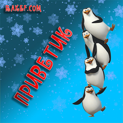 Winter greetings! Postcard with penguins and snowflakes! Madagascar! Winter! Cartoon! Hello everyone! Wish you...