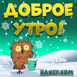 Winter picture with an owl! Good morning! Good winter morning! Cool owl with coffee! Postcard! I wish everyone ...