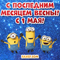 The 1 of May! Postcards with the last month of spring to you! A picture with minions! Funny minions!