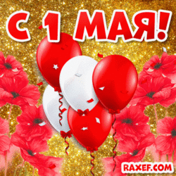 May 1 is a holiday! GIFs 1 May! Happy May 1st, GIF picture! Poppies, flowers, balloons! New postcard, picture!