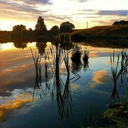 Good morning! Dawn on the lake!