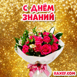 GIF, GIF Happy Knowledge Day! From September 1! Bouquet of roses! Roses! Flowers! Beautiful picture with an inscription! Pleykast!