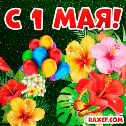 GIF from May 1! GIF! Picture from May 1! Animation! Happy first! May Day picture with flowers and balloons!