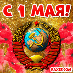 GIFs 1 May! GIF from May 1! GIF, animation, picture, postcard! Labor Day! Solidarity Day ...