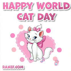 Postcard! Cat Day! 8 August! Holiday! White cat!