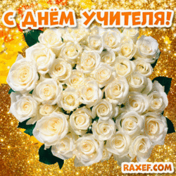 Postcard GIF! Animation Happy Teacher's Day! To the teacher! Bouquet of white roses!
