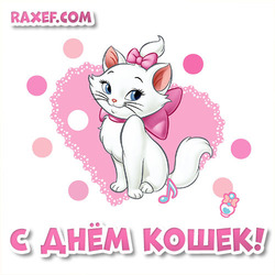 Happy Cats Day! Beautiful picture with a cat! Cat and heart! Love!