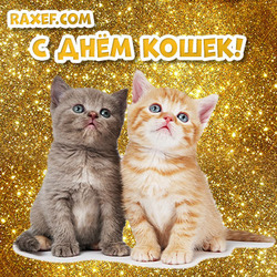 Happy Cats Day! There are two little kittens in the picture! You can download the postcard for free!