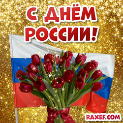 Postcard Happy Russia Day! Postcard with the flag of the Russian Federation and beautiful red tulips! Picture! Tulips! Flowers!