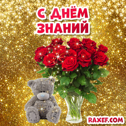 Happy Knowledge Day card with Teddy bear and roses! Red roses! Picture on a gold background! Gold!