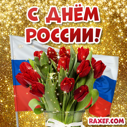 Postcard with red tulips and the flag of the Russian Federation for the Day of Russia! Picture!