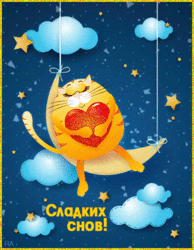 Cool postcard good night! GIF with a cat! Cat! Animation! Gif!