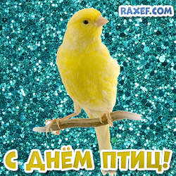 Happy birds day! Postcard with a yellow canary! Canary! Picture on a bright and shiny background!