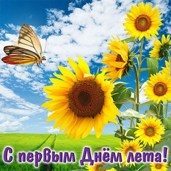 Happy first day of summer! Postcard, beautiful picture with sunflowers! Sunny, joyful, cool - summer has not come in vain.