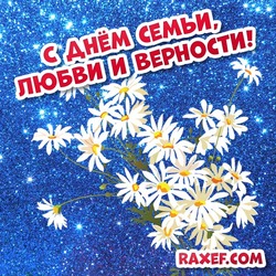 July 8 - Day of love, family and fidelity. Postcard, picture with daisies! A bouquet of daisies on a beautiful background!