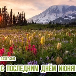 Goodbye JUNE! Picture, postcard!