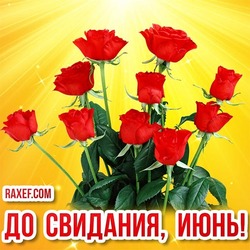 Goodbye June! Beautiful card with flowers! Picture with roses! Goodbye June! Bye!