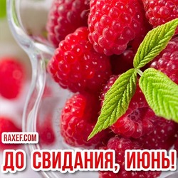 Picture, postcard! Goodbye June! You can download it for free! Delicate raspberries for you!