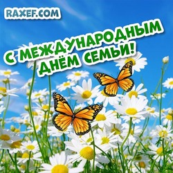 Picture, postcard for family day! Happy International Family Day!
