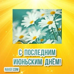 Picture, postcard for the last day of June with daisies!