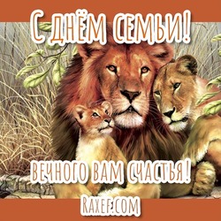 Postcard, picture! A family of lions on a postcard! Lions!