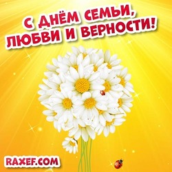 Greeting card with daisies for the day of family, love and fidelity! Picture with a bouquet of daisies for July 8! A bouquet of daisies!