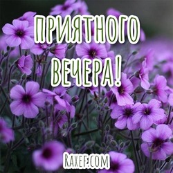 Have a nice evening! Beautiful picture, card with flowers!
