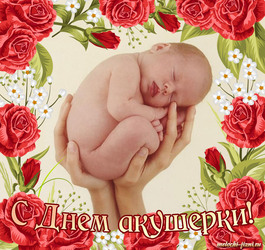 Happy midwife day! Beautiful congratulations with the baby and red roses!