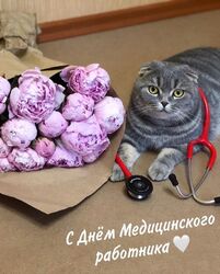 Happy Medical Worker Day! Postcard, picture with a cat! Murrmyau!