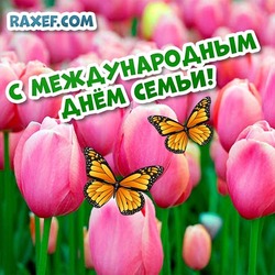 Happy International Family Day! Picture, postcard with tulips and butterflies!