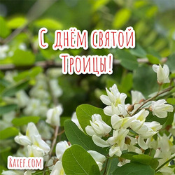 Happy holiday of the Holy Trinity !!! Today is Spirits Day! Pentecost! Picture! Postcard for the Day of Spirits!