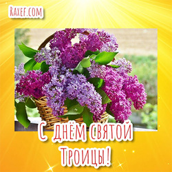 Lilac Trinity this year! Picture, postcard with Trinity!