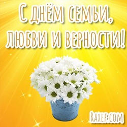 You can download a picture with the day of family, love and fidelity for free! Chamomile! Chamomile! The symbol of the holiday!