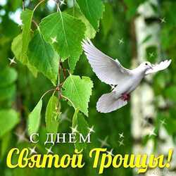 In honor of the Great Trinity! With the Trinity! Picture! Postcard with a dove!