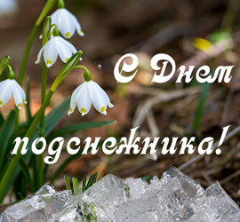 День подснежника