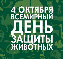 День защиты животных