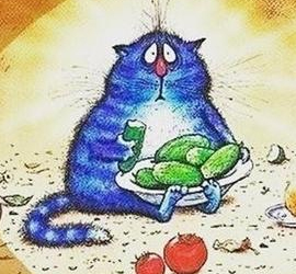 Международный разгрузочный день