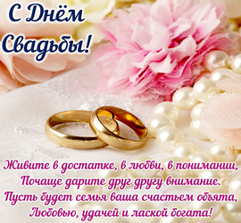 Newlyweds on their wedding day