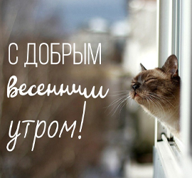 С добрым весенним утром