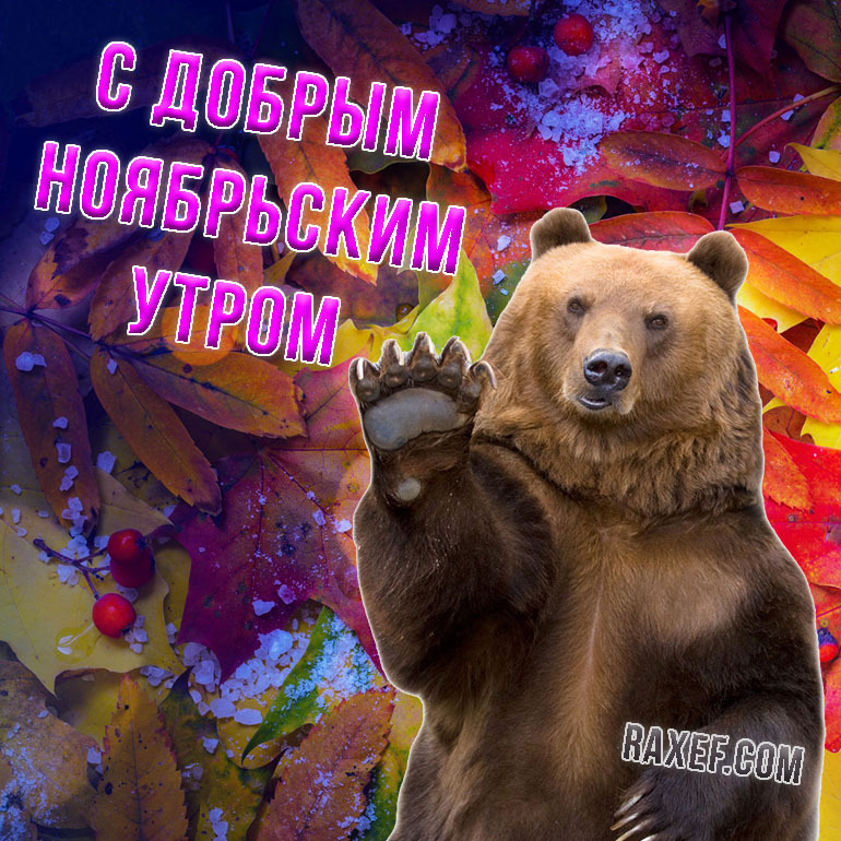 Картинки с добрым утром с медведями